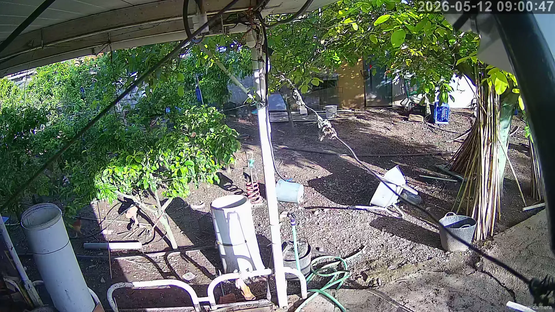 Capture from May 12, 2026 at 07:01 AM