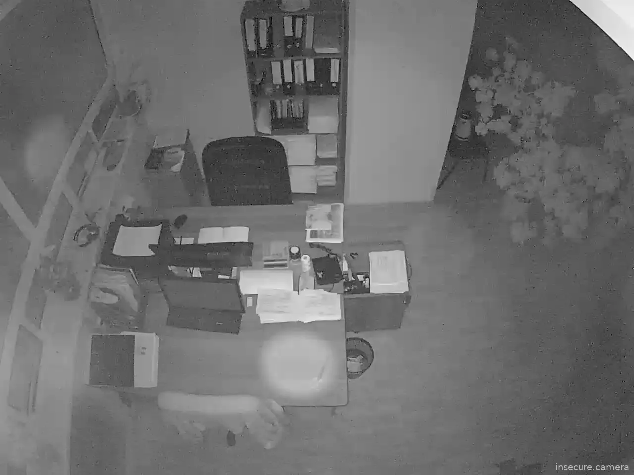 Capture from Feb 19, 2026 at 01:23 AM