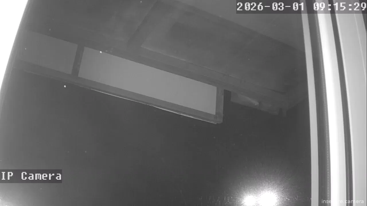 Capture from Mar 01, 2026 at 01:15 AM