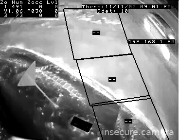 Capture from Feb 19, 2026 at 05:31 PM