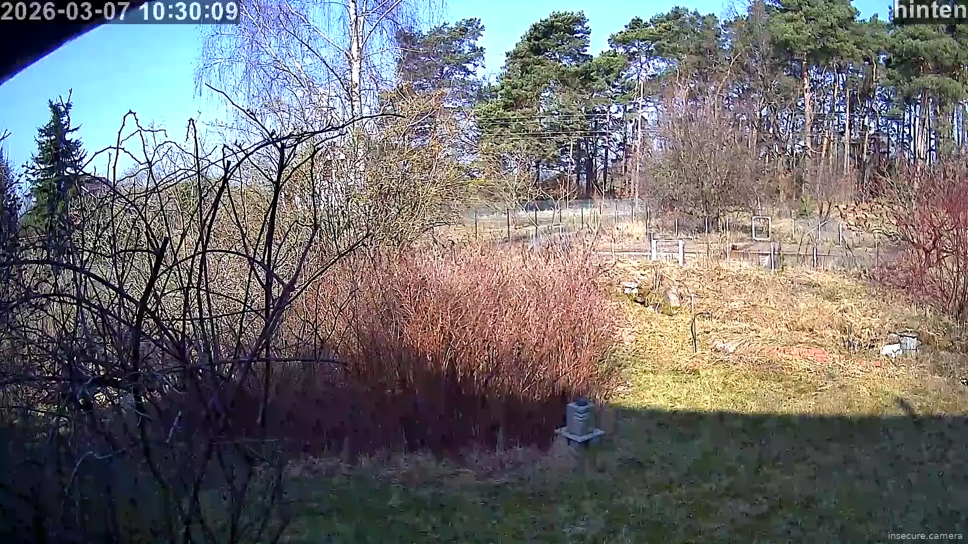 Capture from Mar 07, 2026 at 09:30 AM