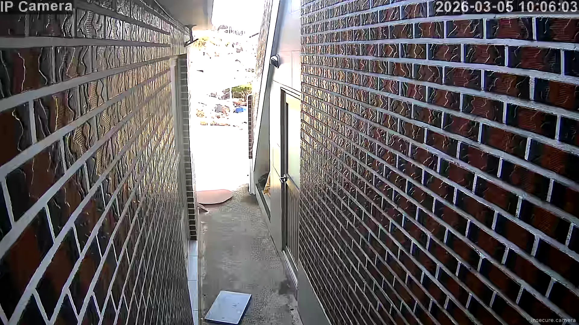 Capture from Mar 05, 2026 at 01:06 AM