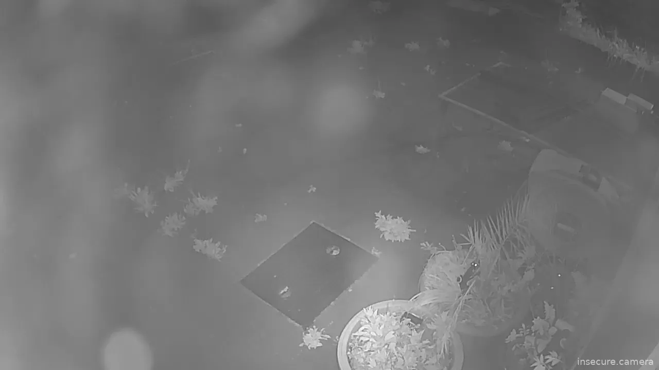 Capture from May 01, 2026 at 02:12 AM