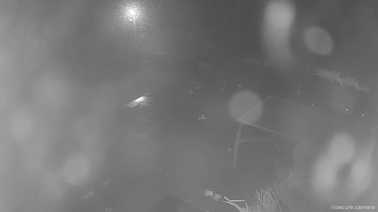 Capture from Feb 26, 2026 at 10:07 PM