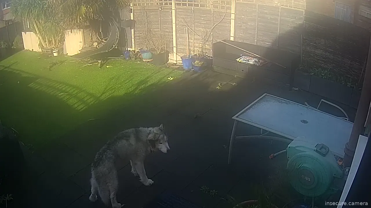 Capture from Feb 22, 2026 at 09:54 AM