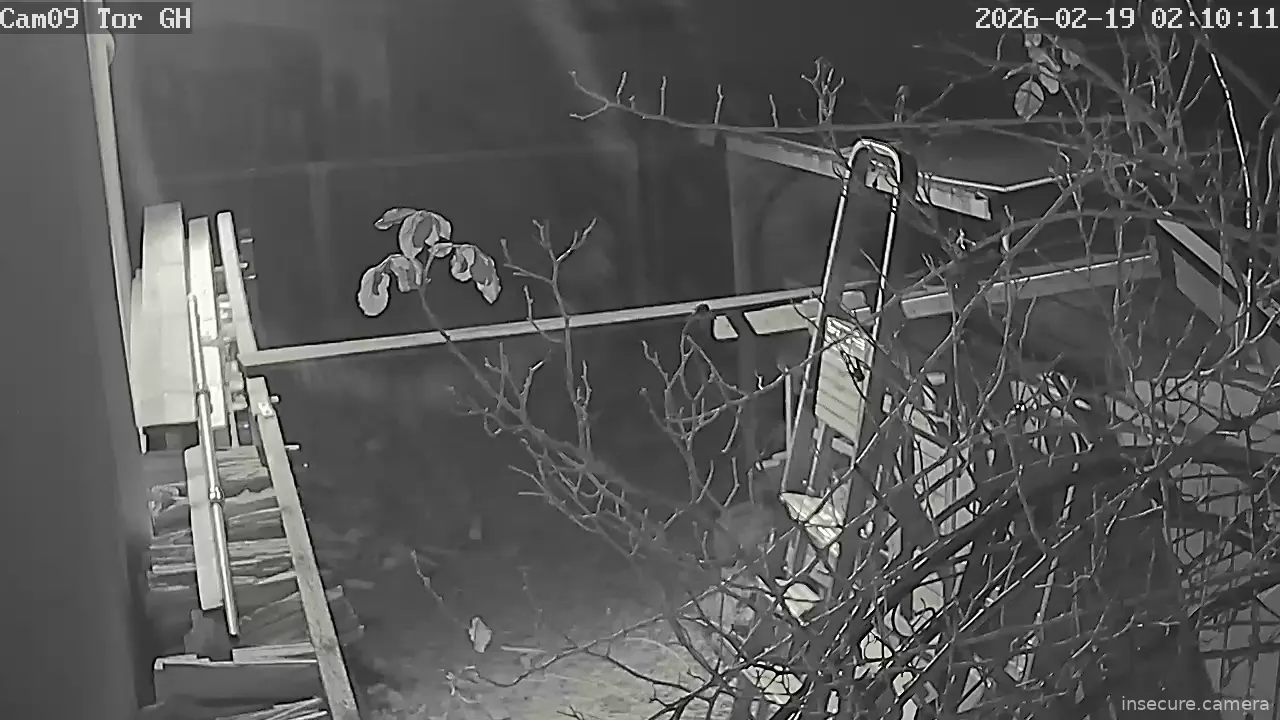 Capture from Feb 19, 2026 at 01:10 AM