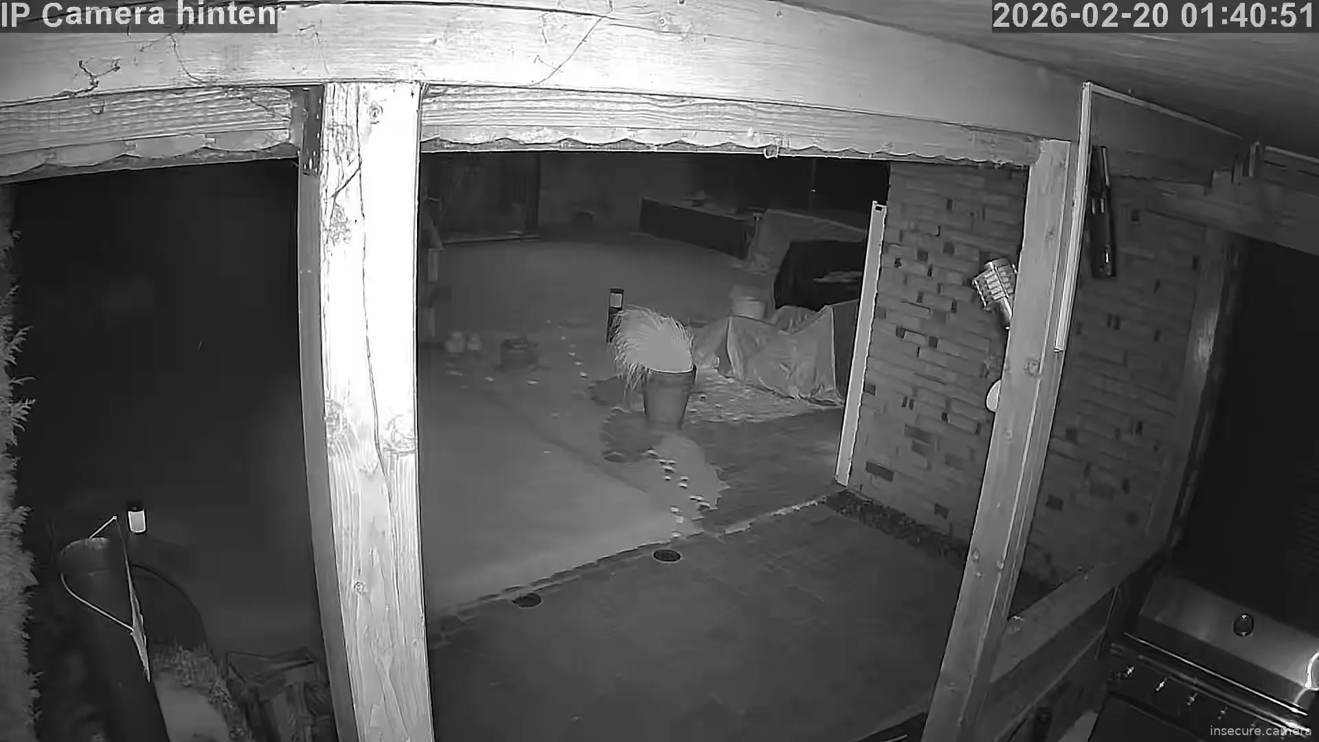 Capture from Feb 20, 2026 at 12:41 AM