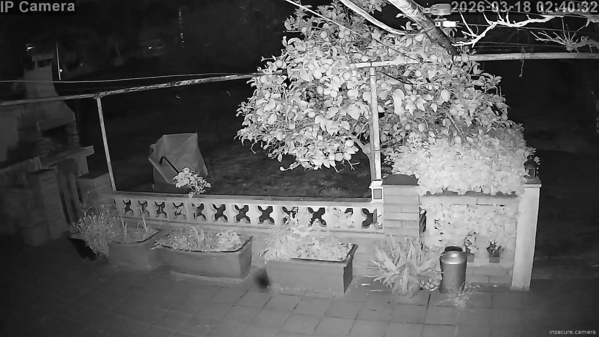 Capture from Mar 18, 2026 at 01:40 AM