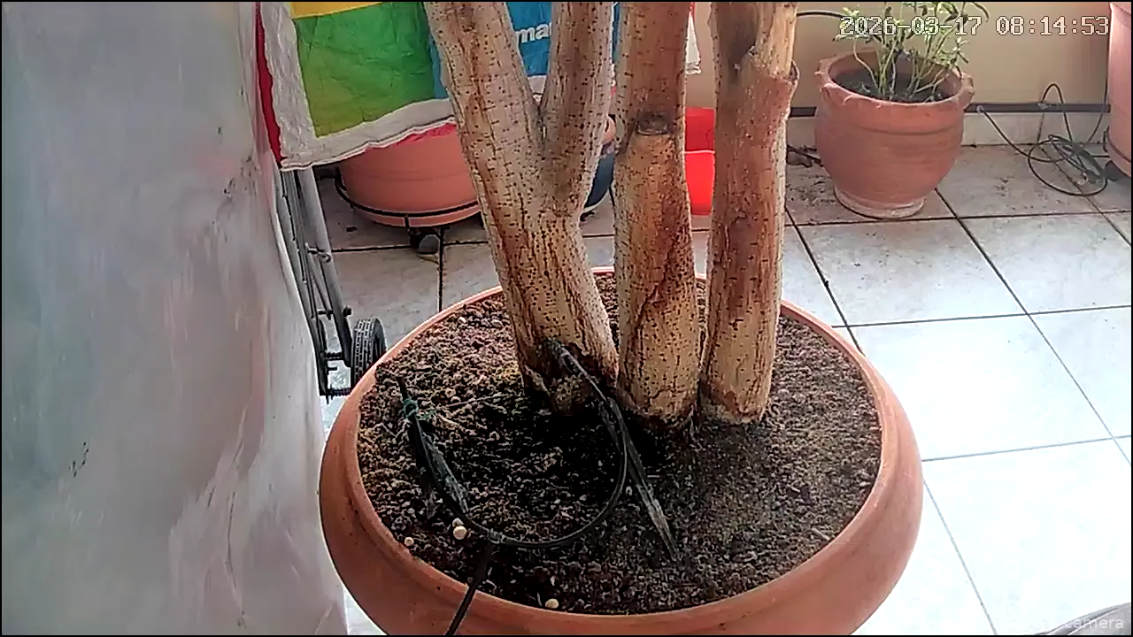 Capture from Mar 17, 2026 at 06:15 AM