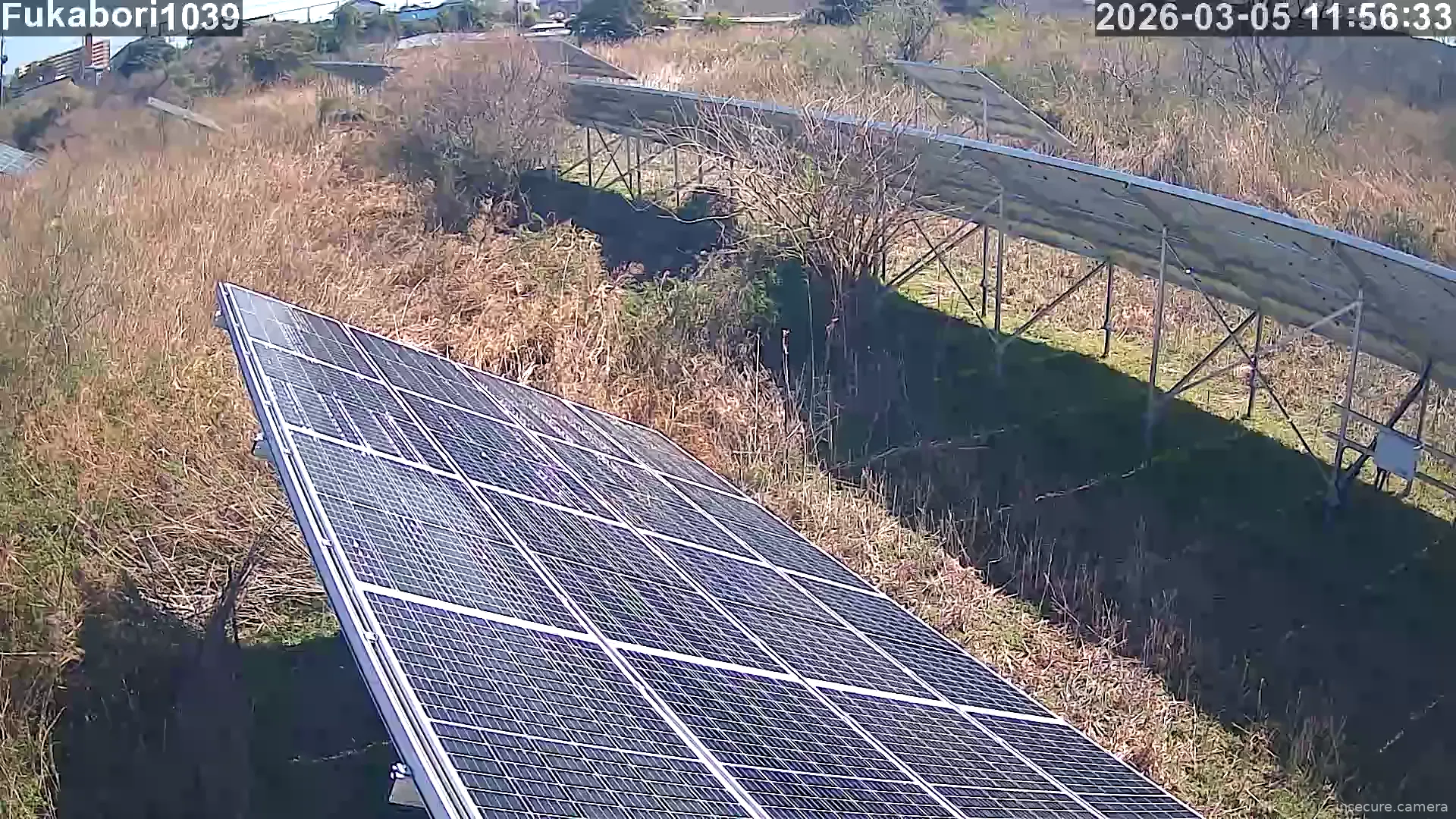 Capture from Mar 05, 2026 at 02:57 AM