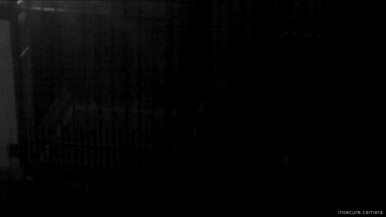 Capture from Feb 19, 2026 at 05:28 PM