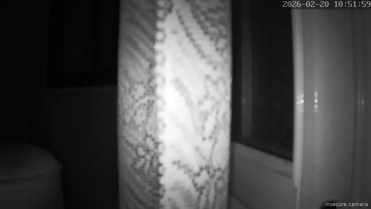 Capture from Feb 20, 2026 at 02:52 AM