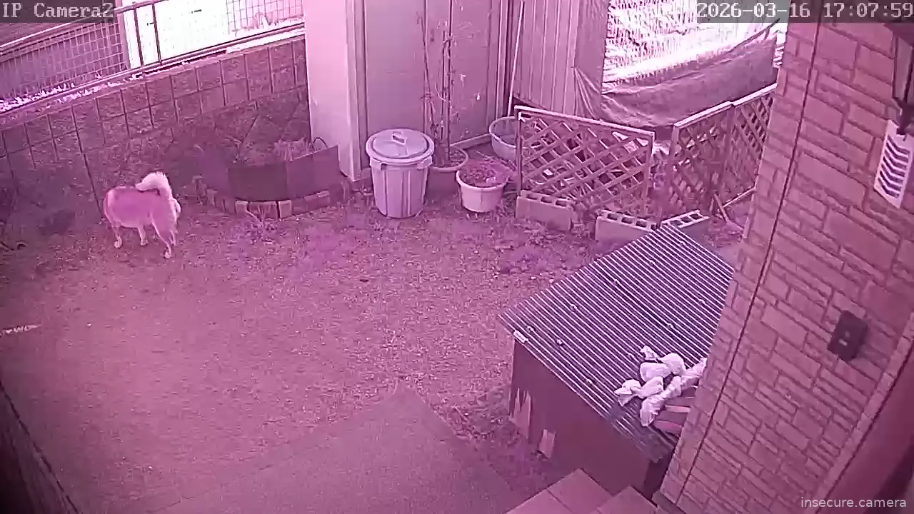 Capture from Mar 16, 2026 at 08:08 AM