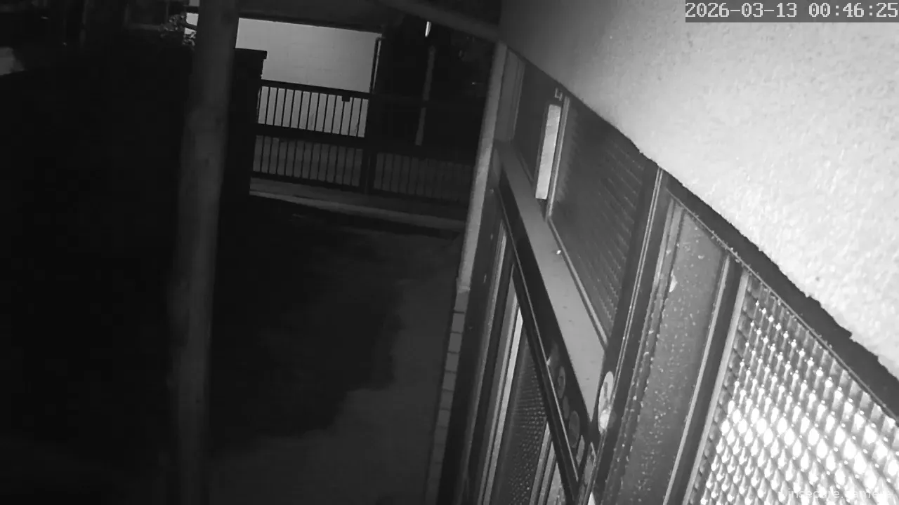 Capture from Mar 12, 2026 at 03:46 PM