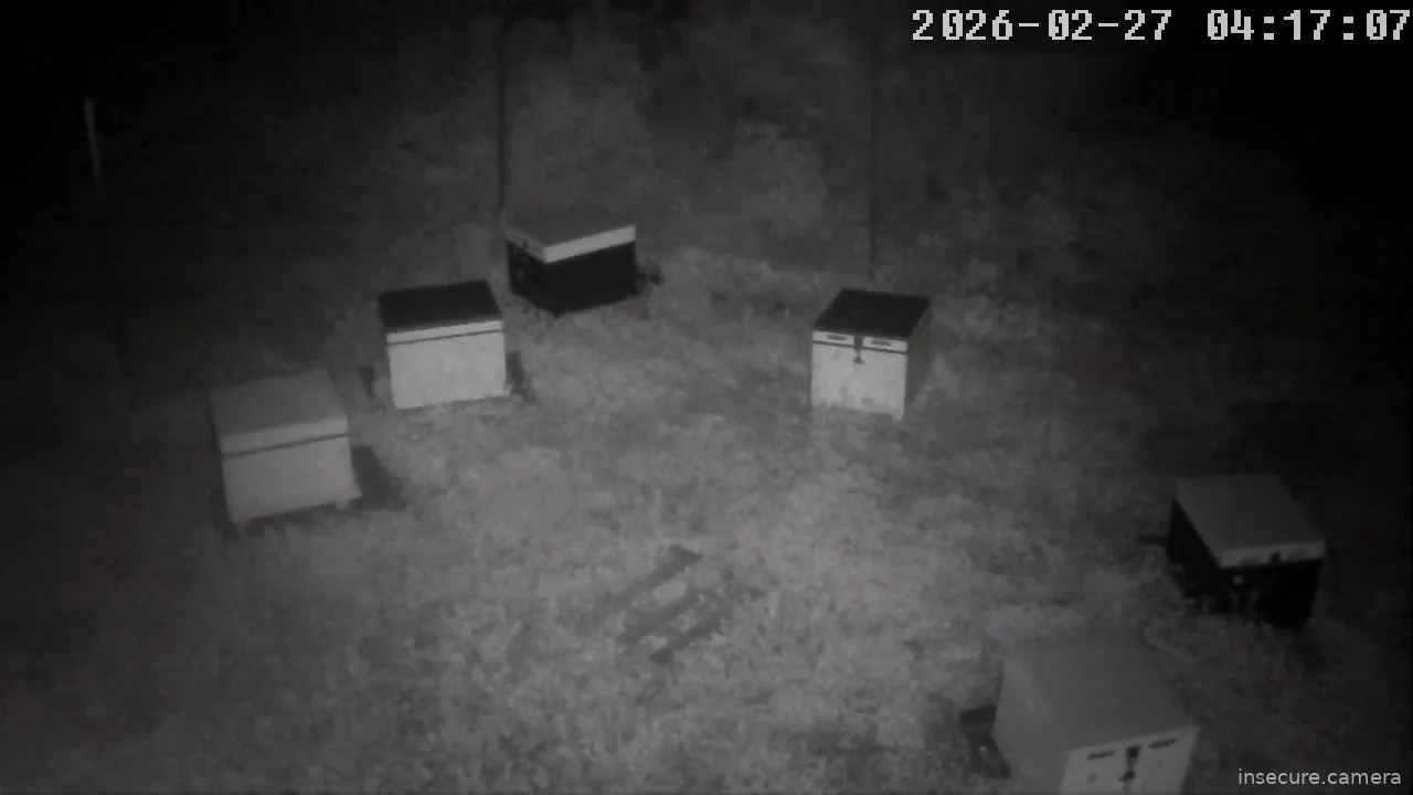 Capture from Feb 26, 2026 at 08:17 PM