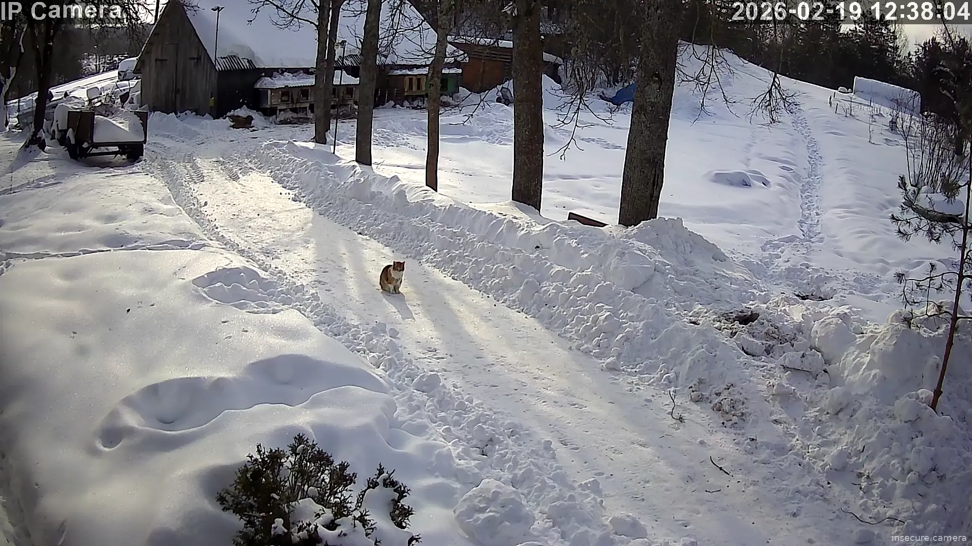 Capture from Feb 19, 2026 at 09:38 AM