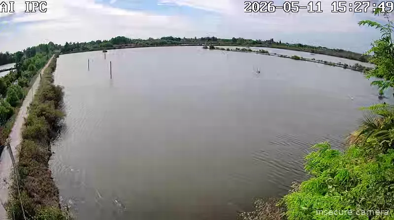 Camera in Vietnam