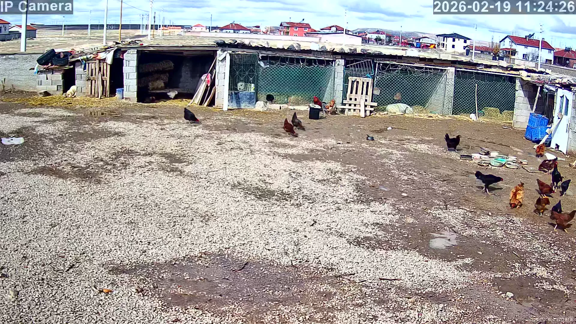 Capture from Feb 19, 2026 at 08:24 AM