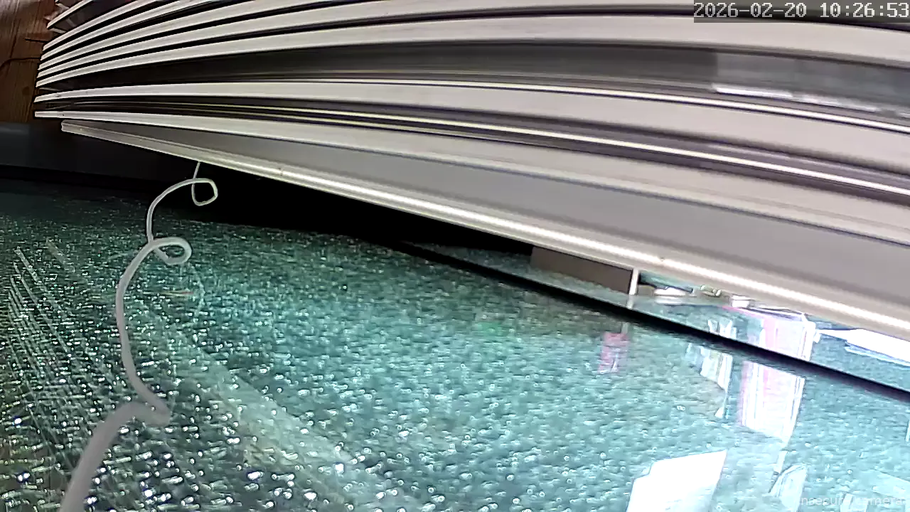 Capture from Feb 20, 2026 at 01:27 AM