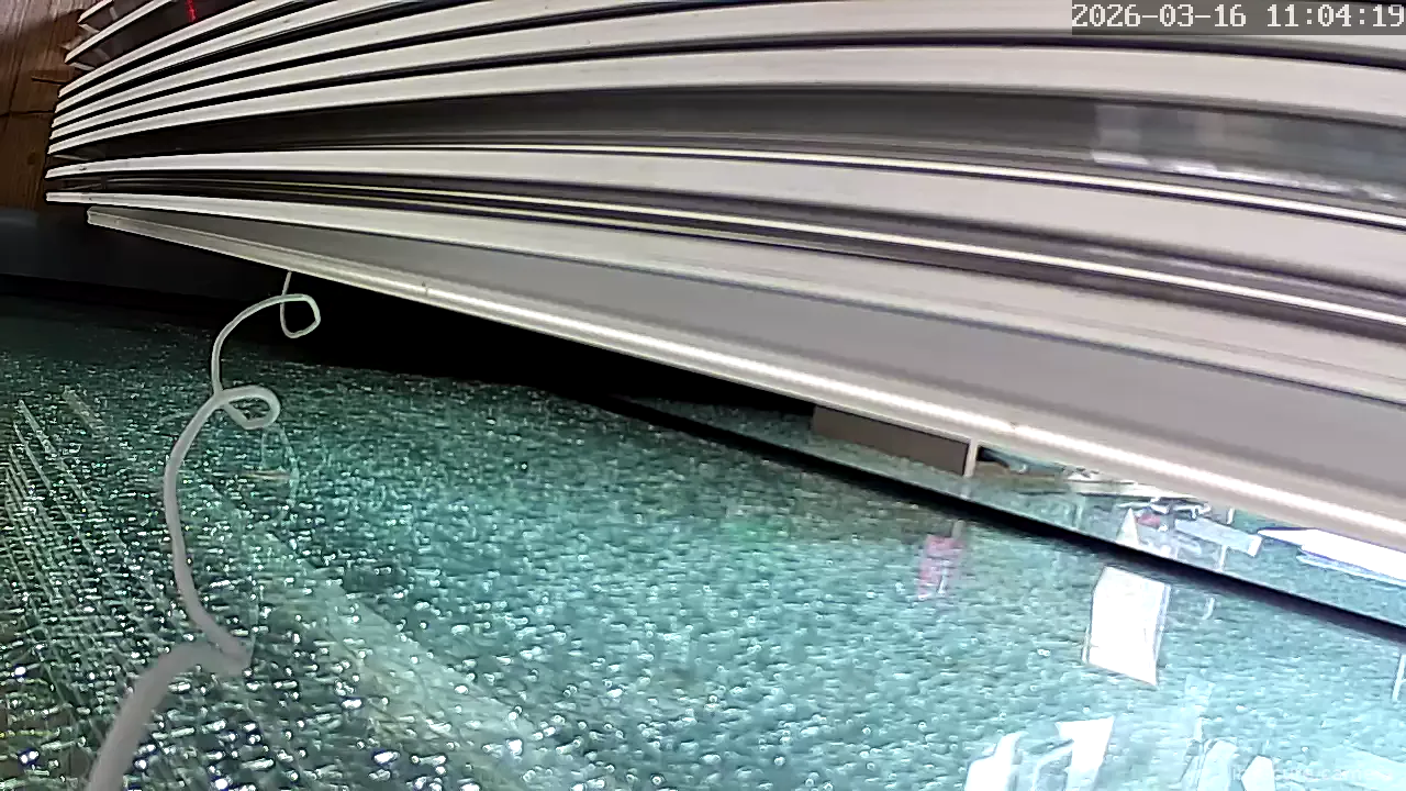 Camera in South Korea