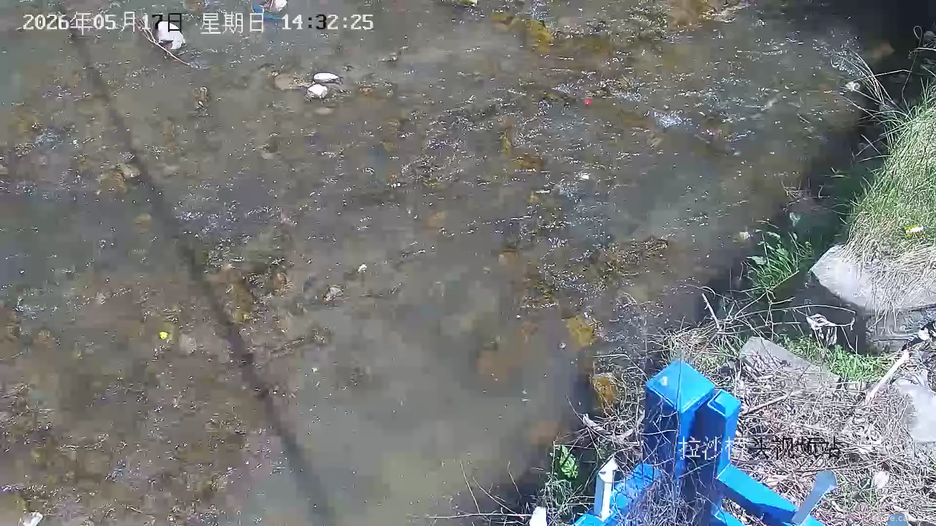 Camera in Unknown