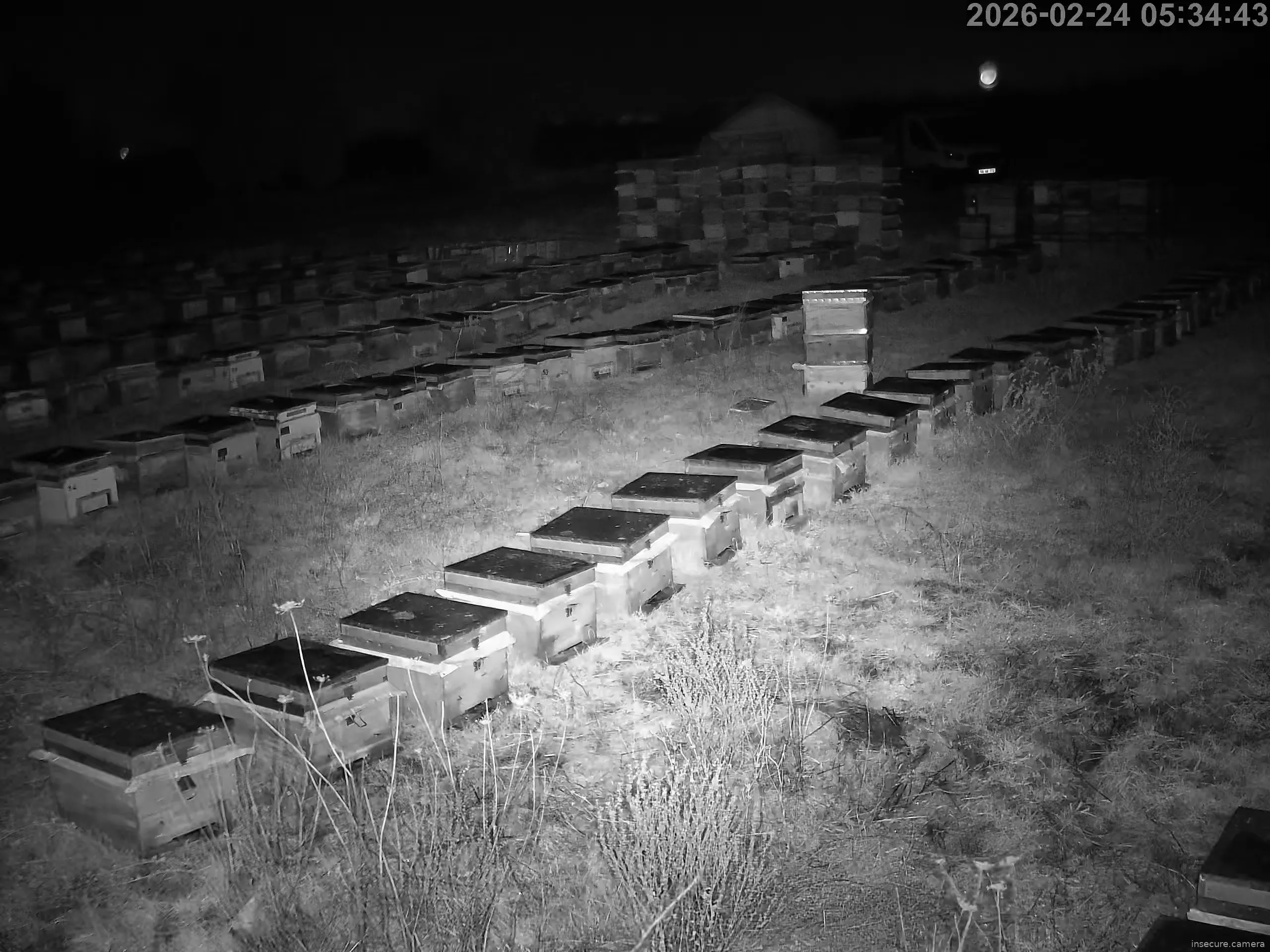 Capture from Feb 24, 2026 at 02:35 AM