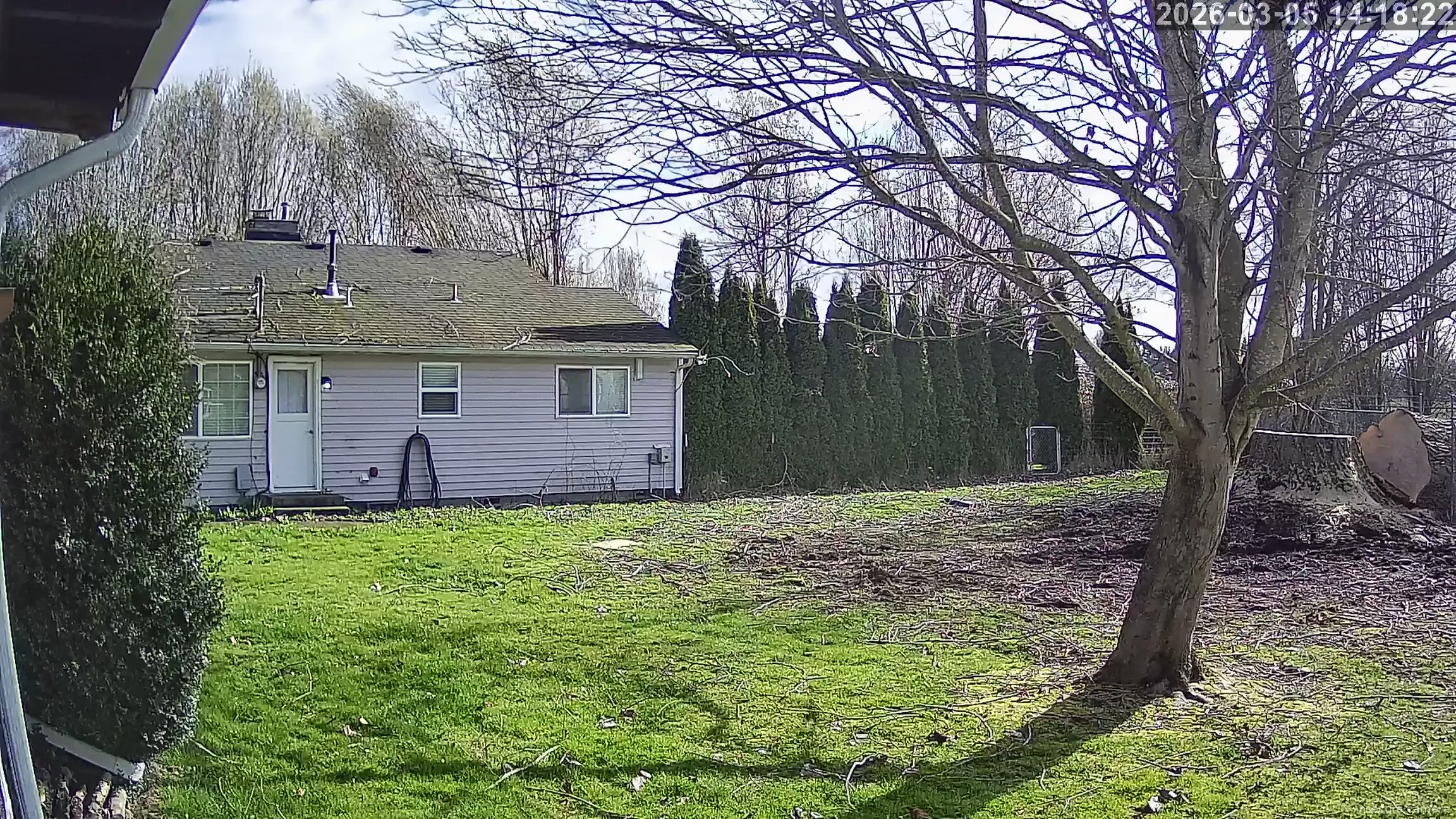 Camera in United States