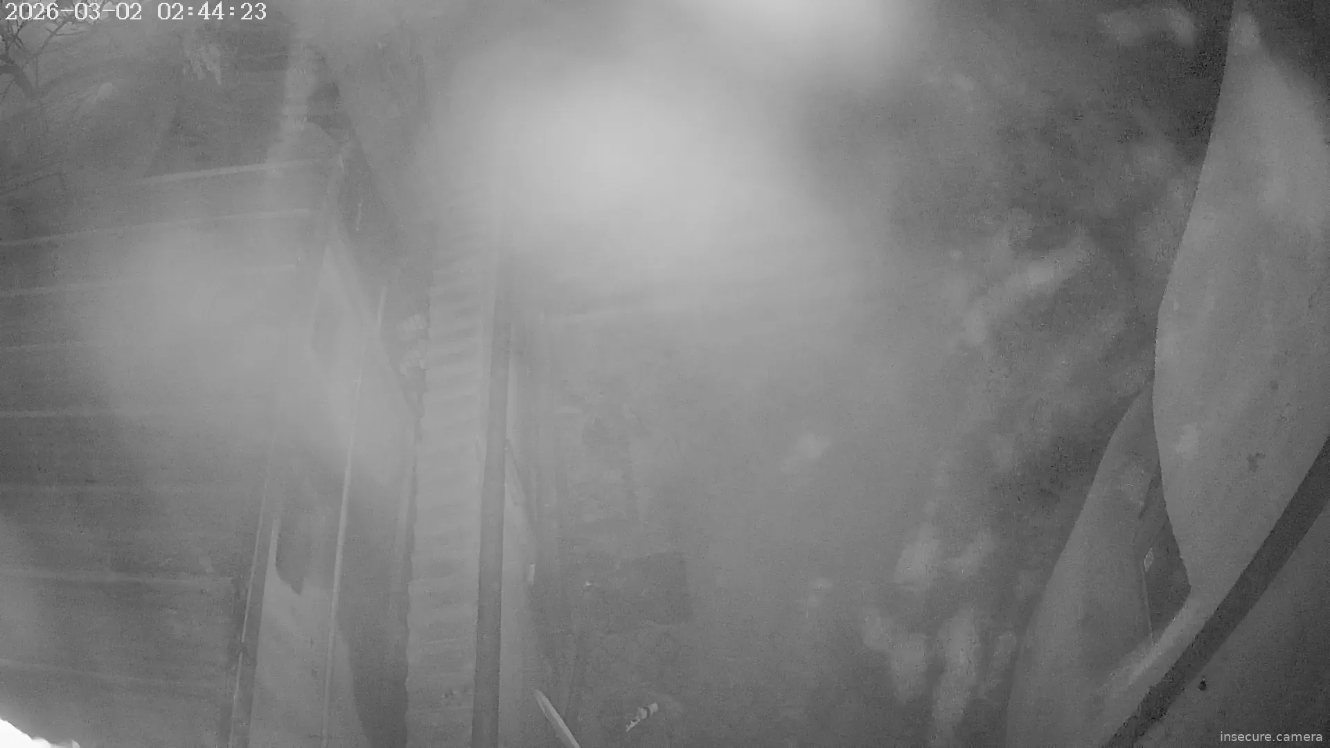 Capture from Mar 02, 2026 at 12:44 AM