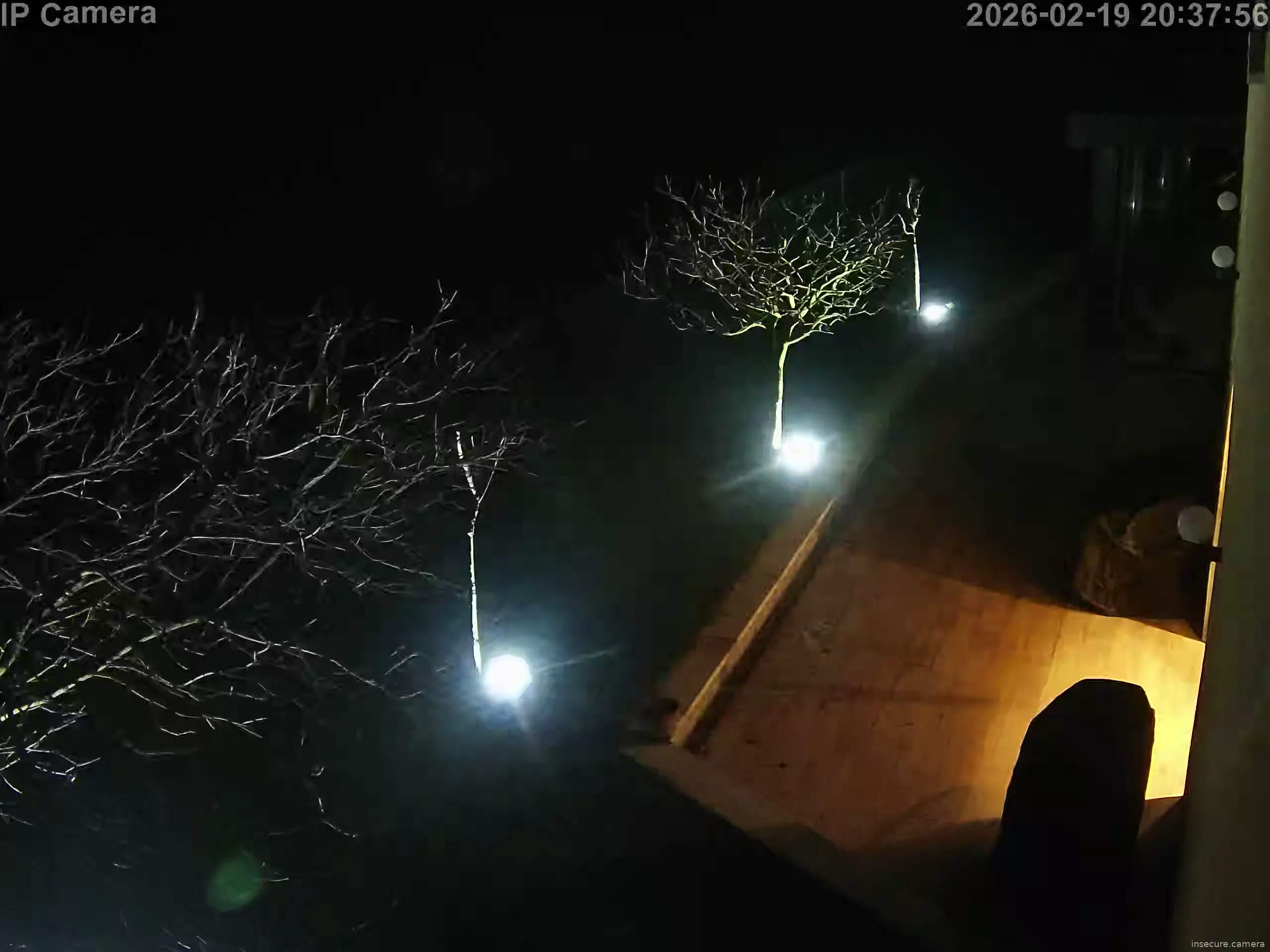 Capture from Feb 19, 2026 at 07:38 PM