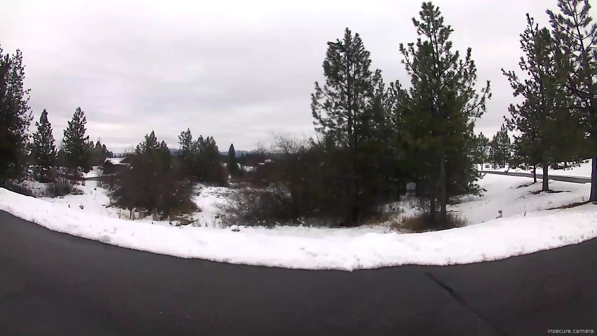 Camera in United States