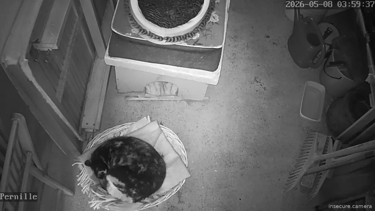 Capture from May 08, 2026 at 02:59 AM