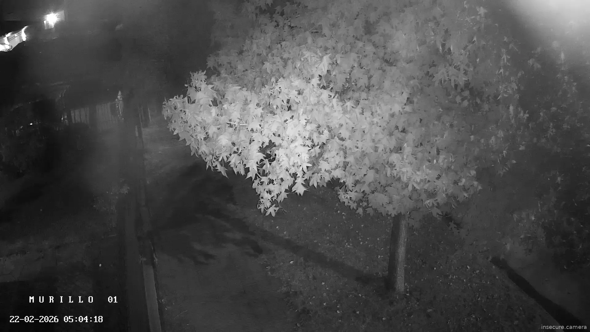 Capture from Feb 22, 2026 at 08:04 AM