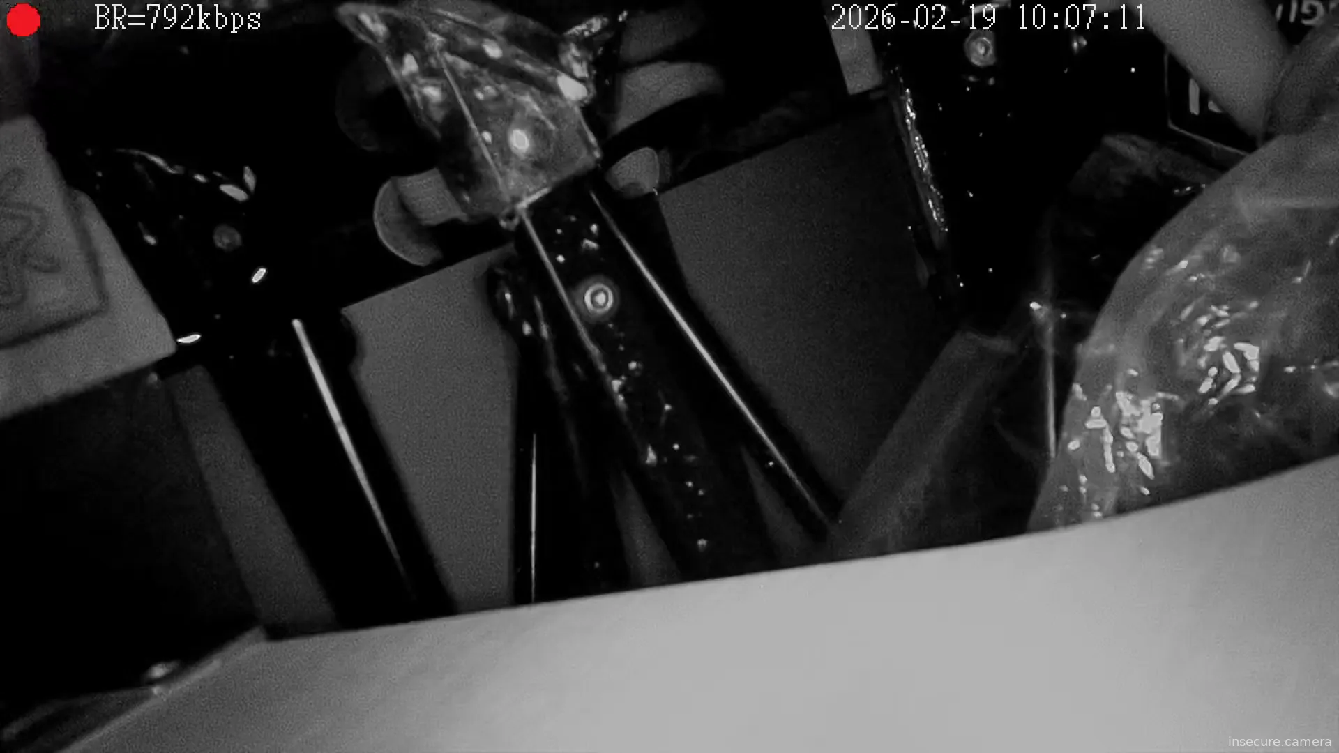 Capture from Feb 19, 2026 at 01:06 AM