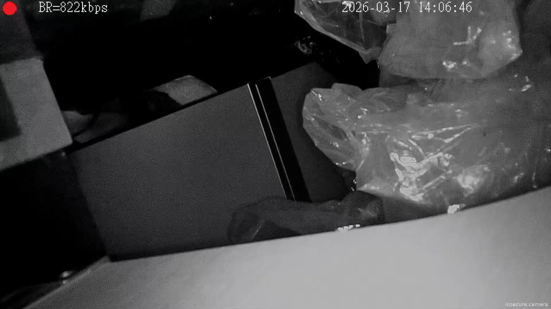 Camera in South Korea