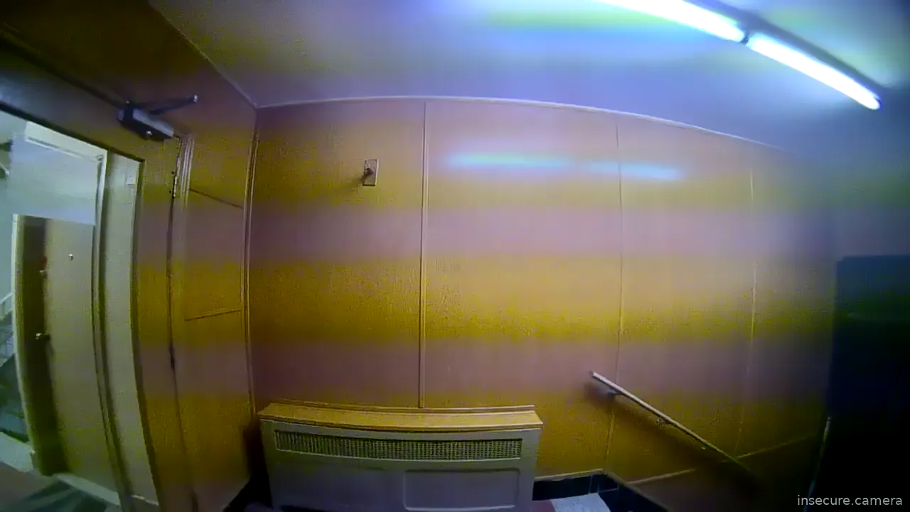 Capture from Feb 19, 2026 at 01:19 AM