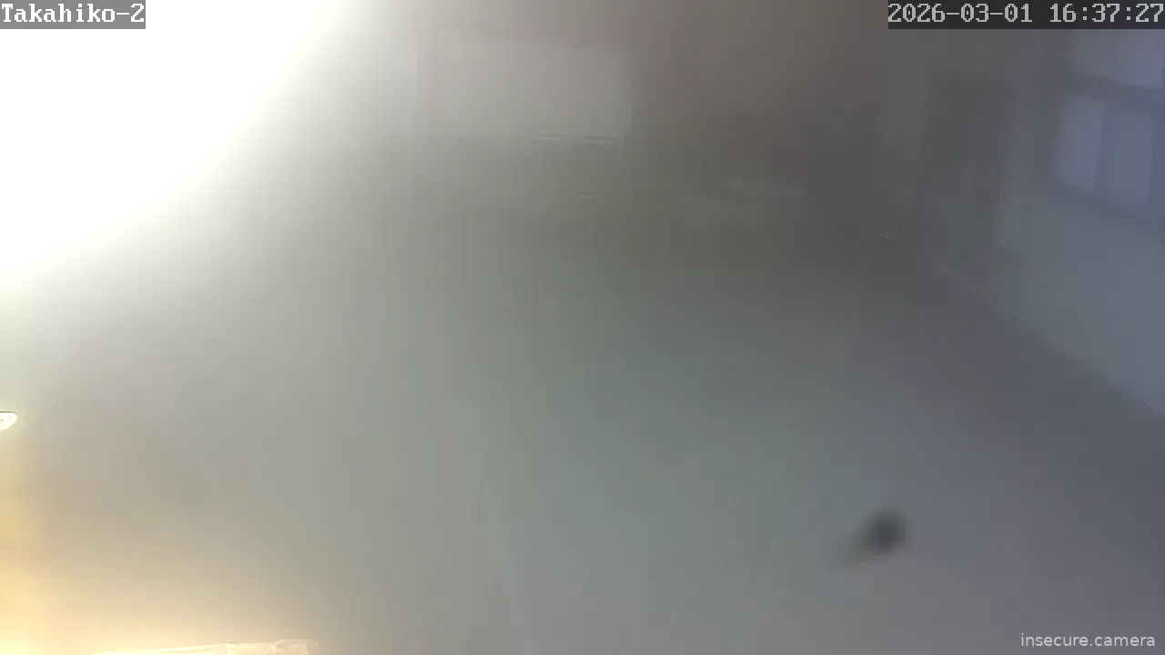 Capture from Mar 01, 2026 at 07:37 AM