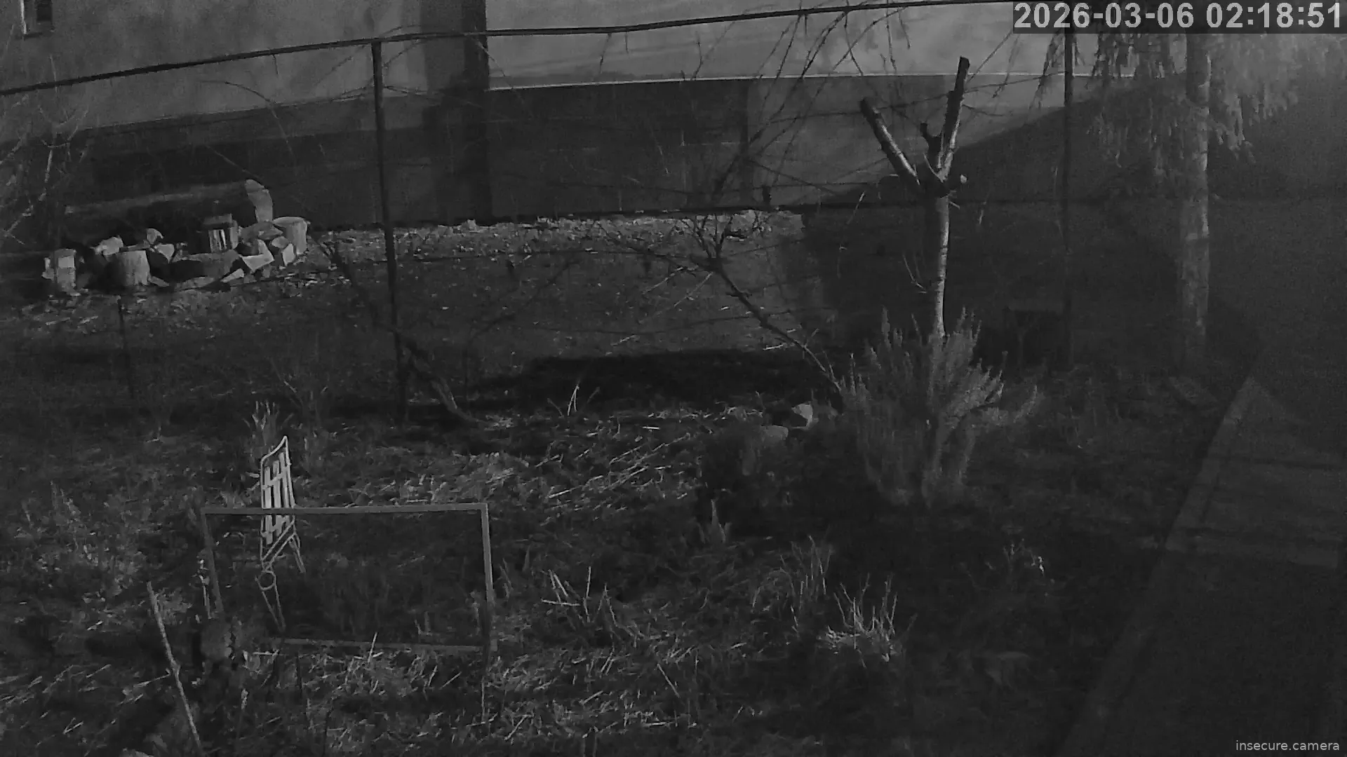 Capture from Mar 06, 2026 at 12:19 AM