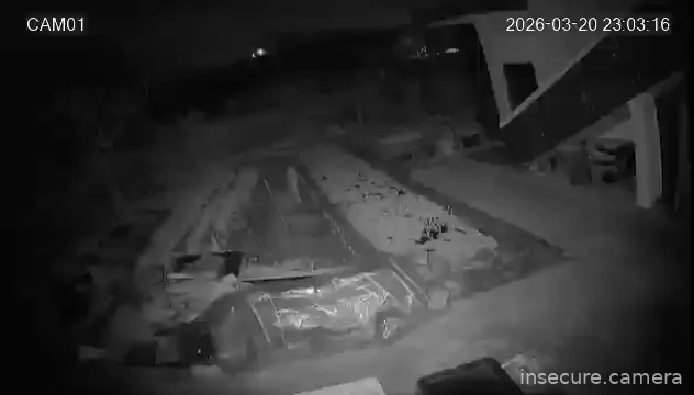 Camera in South Korea