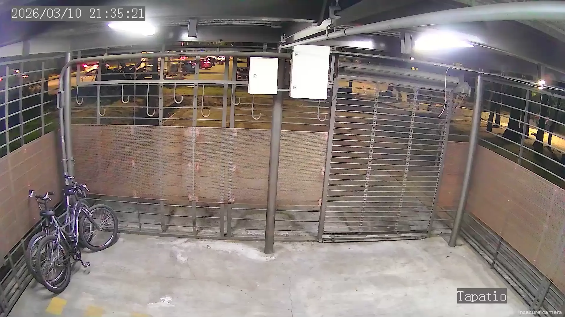 Capture from Mar 11, 2026 at 03:37 AM