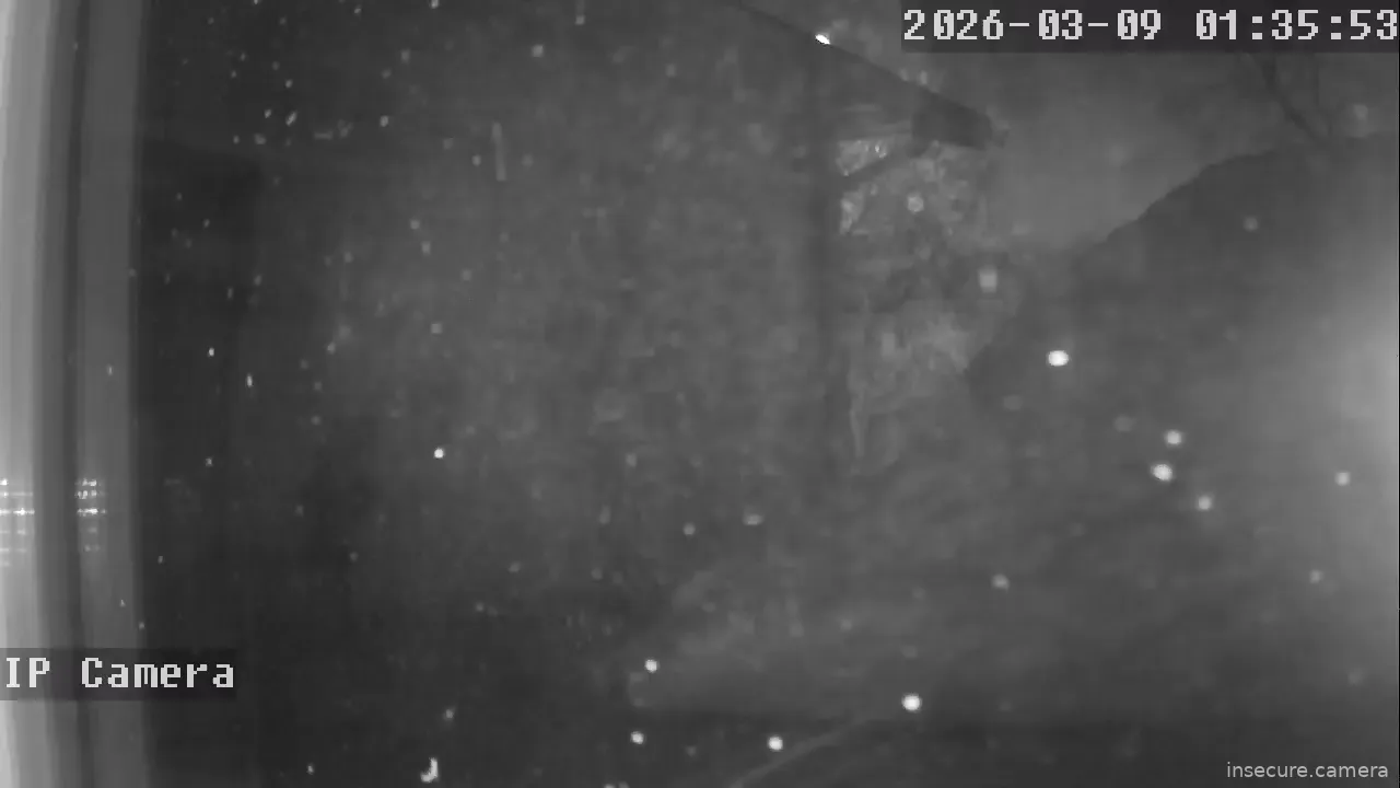 Capture from Mar 09, 2026 at 07:36 AM