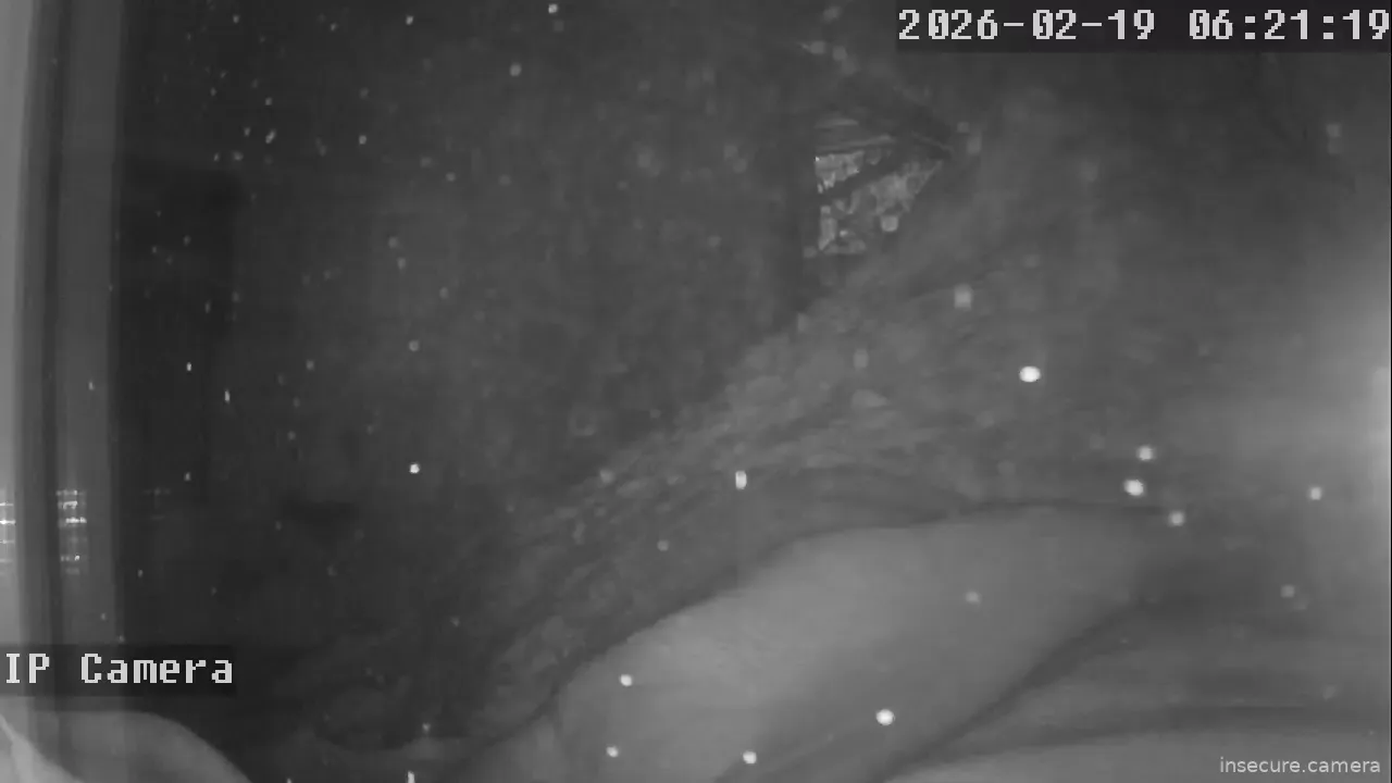 Capture from Feb 19, 2026 at 01:22 PM