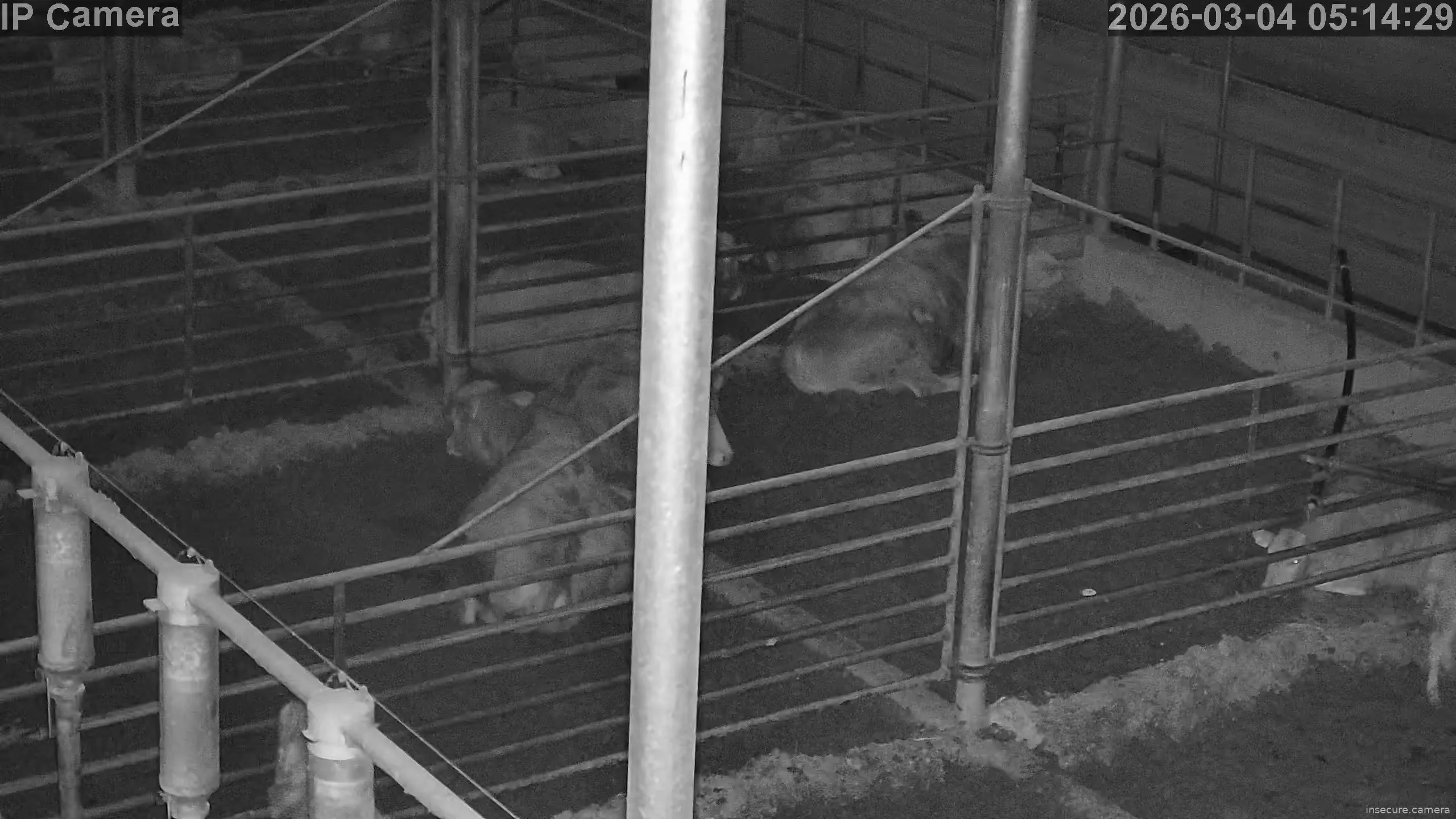 Capture from Mar 03, 2026 at 08:14 PM