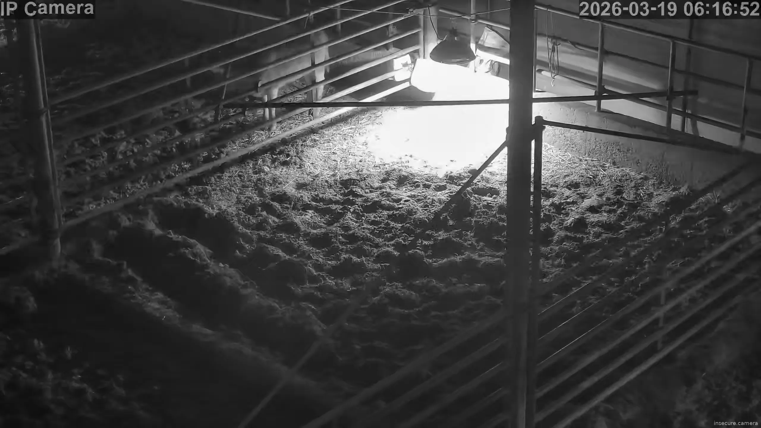 Camera in South Korea