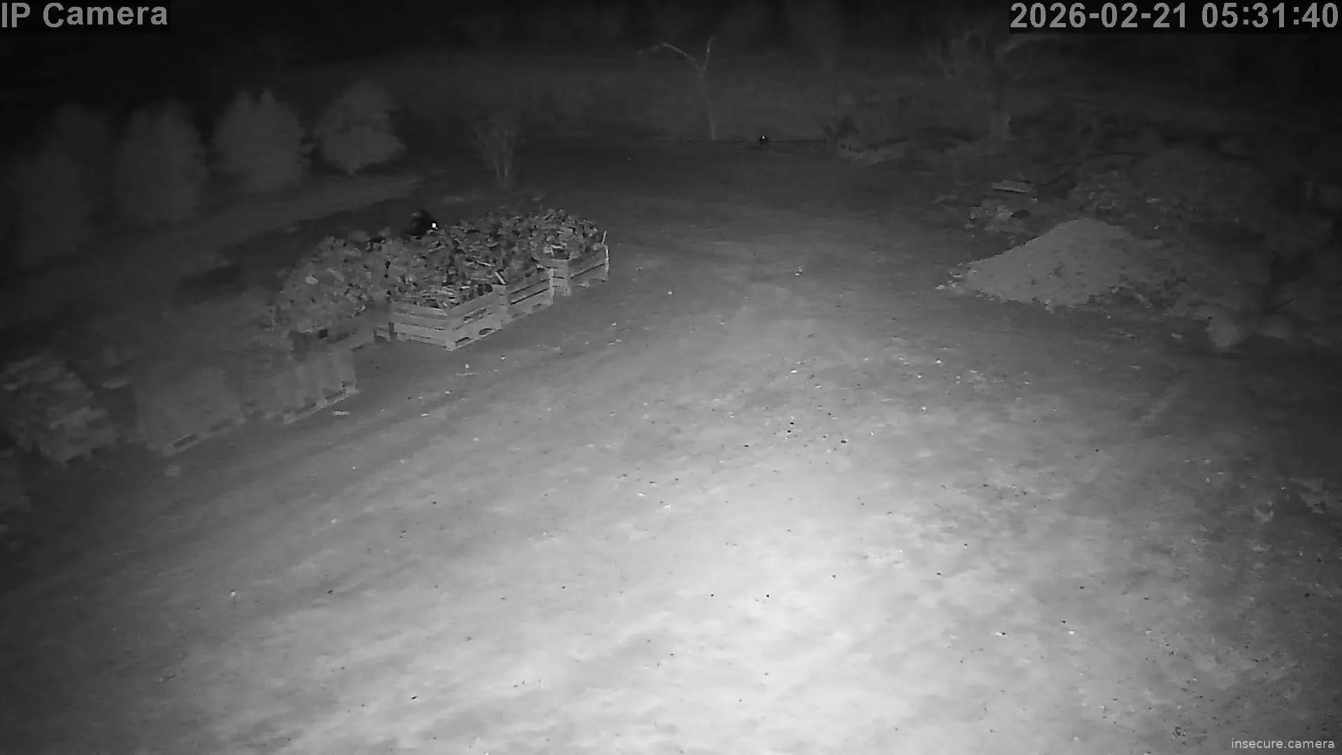 Capture from Feb 21, 2026 at 04:31 AM