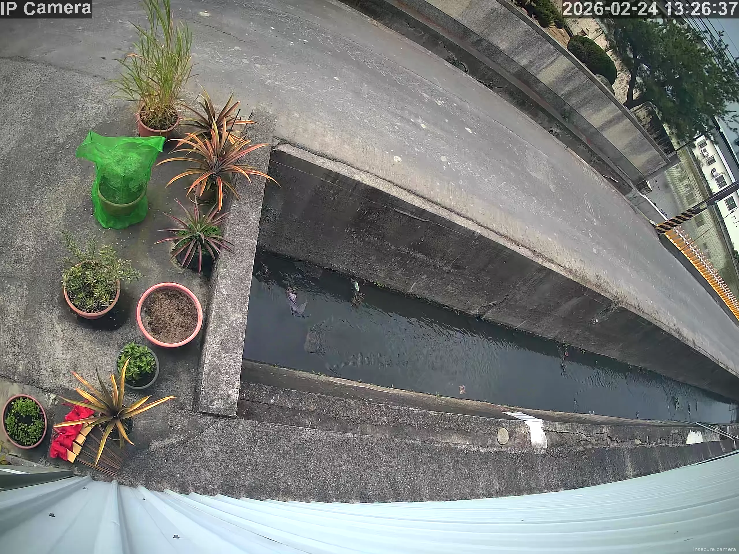 Capture from Feb 24, 2026 at 05:27 AM