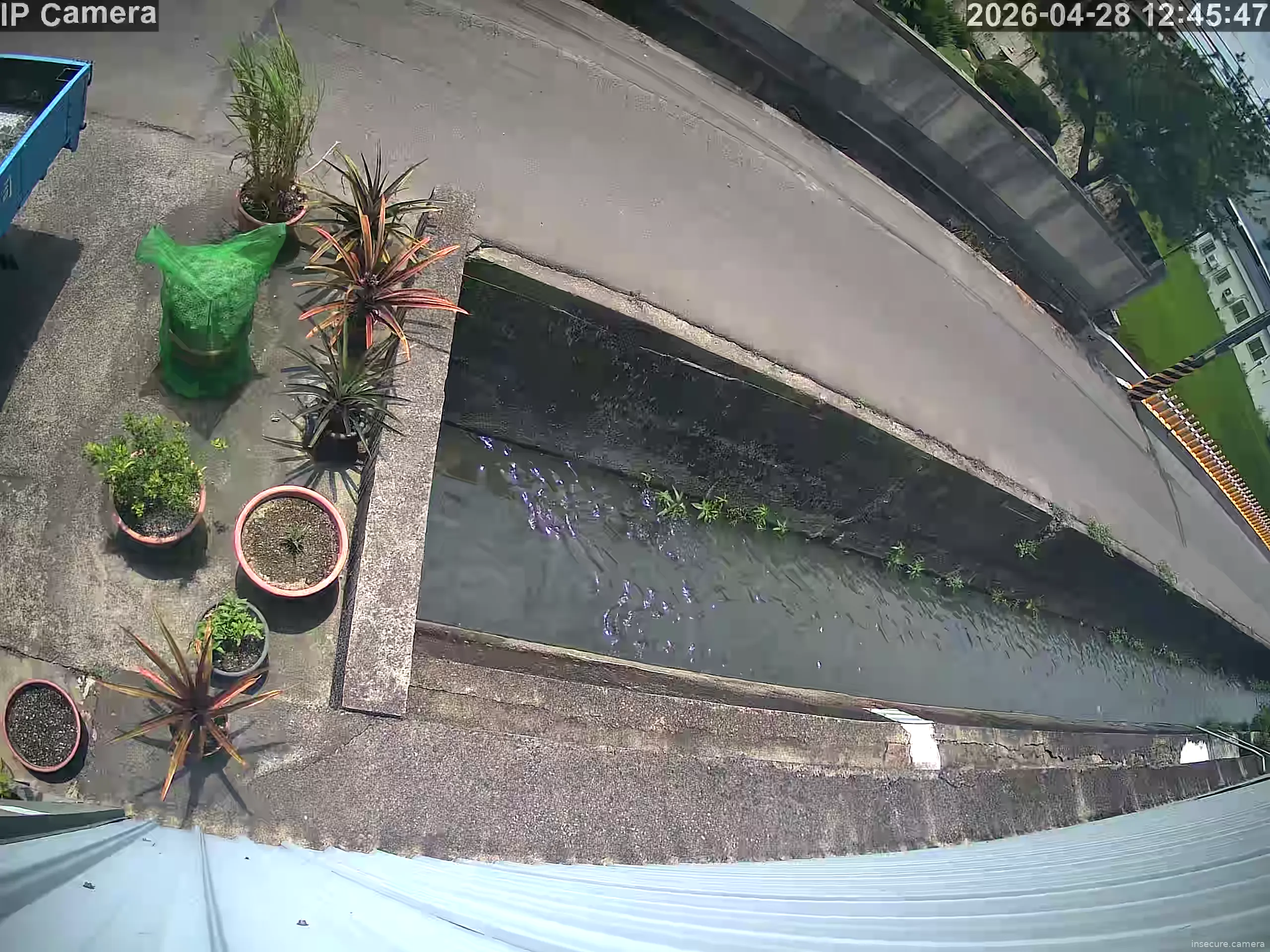 Capture from Apr 28, 2026 at 04:46 AM