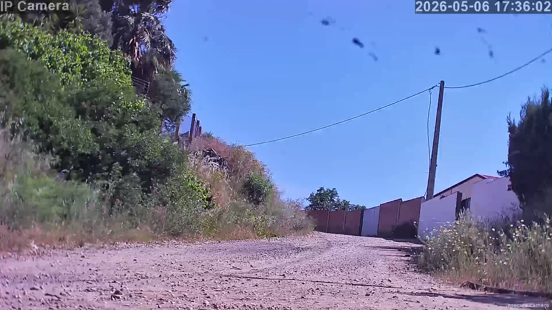 Camera in Spain