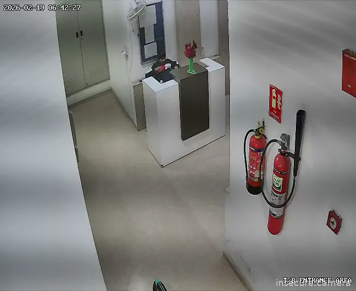 Capture from Feb 19, 2026 at 01:12 AM