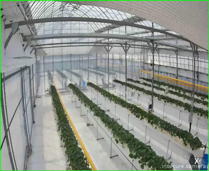 Capture from Feb 23, 2026 at 04:15 AM