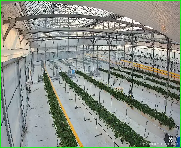 Camera in South Korea